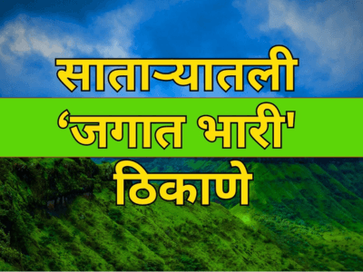 satara opt 01